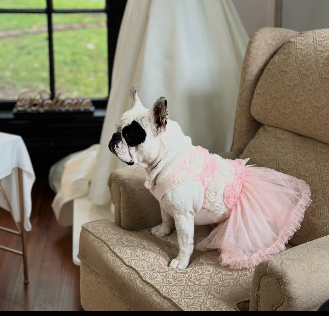 Matilda May